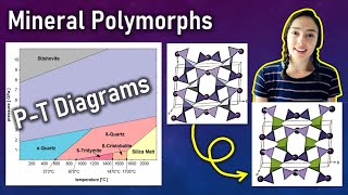 Mineral Polymorphism amp PT Diagrams Mineralogy  GEO GIRL [upl. by Hambley409]