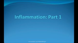 Inflammation Part 1 HD [upl. by Nnairrehs]