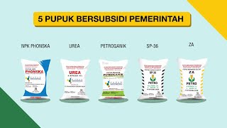 Mengenali Pupuk Subsidi [upl. by Antipas]