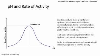 Chapter 32 Factors that Affect Enzyme Activity [upl. by Allistir]