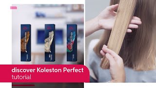 Everything You Need to Know About Koleston Perfect  Wella Professionals [upl. by Doowrehs402]