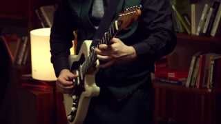 VERDES ANOS by BUDDA POWER BLUES Video Official [upl. by Tippets]