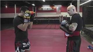 Kickboxing Training  Basic Kickboxing Techniques [upl. by Felder]