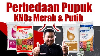 Seri Pemupukan 15 Rekomendasi pupuk KNO3 Merah amp Putih Untuk Tanaman  Padi Jagung Cabe Buah [upl. by Amzaj]