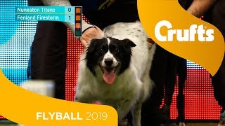 Flyball  Team Quarter Finals  Crufts 2019 [upl. by Uhthna]