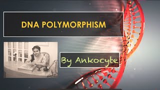 DNA Polymorphisms and its classifications [upl. by Tihom]