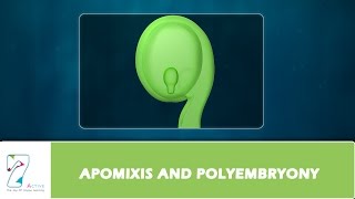 APOMIXIS AND POLYEMBRYONY [upl. by Blight]