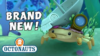 Octonauts  The Decorator Crab  Full Episode 5  Kidzuko [upl. by Grimona]