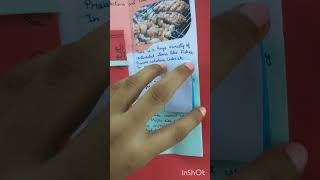 Travel Brochure Andaman and Nicobar Aesthetic [upl. by Hnilym]