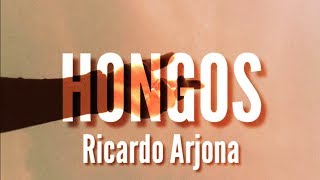 Ricardo Arjona  Hongos LetraLyrics [upl. by Eux]