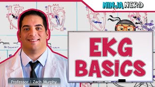 Cardiovascular  EKG Basics [upl. by Giulietta688]