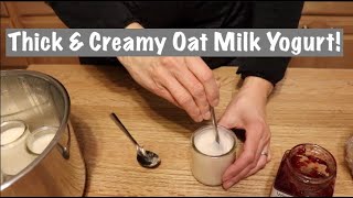 Thick amp Creamy Oat Milk Yogurt So Easy [upl. by Urbas]