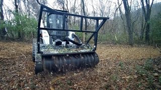 First Run  Bobcat T770 with Forestry Mulcher [upl. by Lamraj]