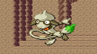 How to find Smeargle in Pokemon Emerald [upl. by Ahsyekat]