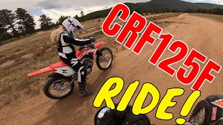 crf125F honda dirtbike just how good is it Best starter bike Review and test ride [upl. by Amol]