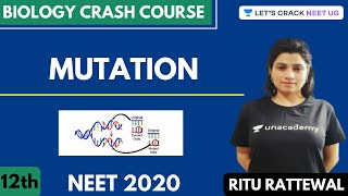 Phoenix 20 Biology Most Important Video for NEET 2025  Udaan [upl. by Allehcim]