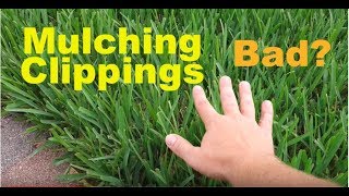 Does Mulching Clippings Cause Thatch Buildup In Lawns [upl. by Alphonsa]