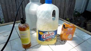 How to DIY Organic InsecticideFungicide recipe [upl. by Gretal]