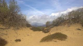 Gran Canaria Dunes Dunas Maspalomas [upl. by Nyladgam348]