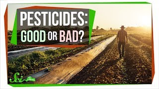 How Safe Are Pesticides Really [upl. by Denby587]