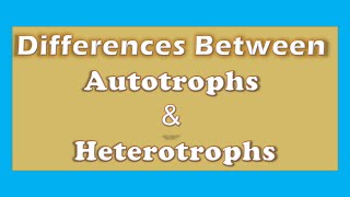 Unlocking the Differences Autotrophs vs Heterotrophs  A Clear Explanation [upl. by Sunda]