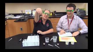 Enzyme lab introduction [upl. by Rosdniw]