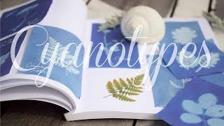 How To Make Botanical Sun Prints  Cyanotypes [upl. by Ody]