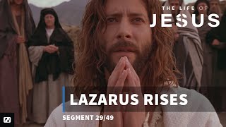 Lazarus Rises  The Life of Jesus  29 [upl. by Onstad]