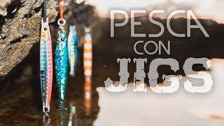 Cómo PESCAR con JIGS a SPINNING desde costa [upl. by Noisla3]