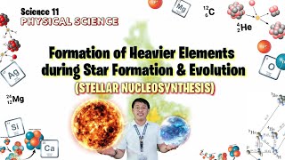 FORMATION OF HEAVIER ELEMENTS  STELLAR NUCLEOSYNTHESIS  SCIENCE 11  PHYSICAL SCIENCE [upl. by Nenad]