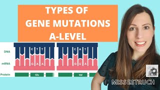 Type of GENE MUTATIONS Alevel Biology Do you know the 6 types of gene mutations [upl. by Culliton]