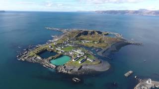 Scotlands Easdale Island Nature and Wildlife [upl. by Whatley]