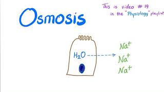 Osmosis  Physiology [upl. by Luemas197]