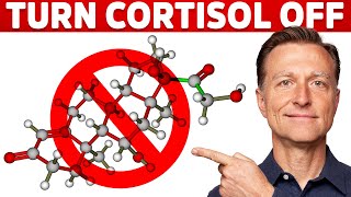 Why Its Hard To Turn Stress Cortisol Off – Dr Berg [upl. by Enisaj]