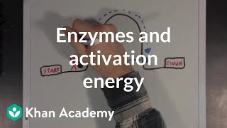 Enzymes and activation energy  Biomolecules  MCAT  Khan Academy [upl. by Rebhun]