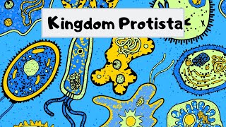 Kingdom of Protista [upl. by Georgianne]