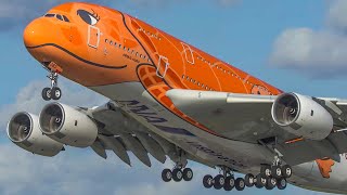 60 MINUTES PURE AVIATION  AIRBUS A380 ILYUSHIN 62 BOEING 747  Aviation Review of Year 2020 4K [upl. by Timon300]