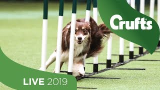 Crufts 2019 Day 4  Part 1 LIVE [upl. by Anillek]