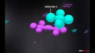 Enzyme – Substrate binding [upl. by Nnyliram]