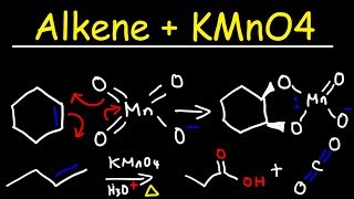 Alkene  KMnO4 Reaction [upl. by Innoj804]