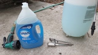 IMPROVED Soapy Water Insecticide Spray Dawn Dish Soap [upl. by Lladnyk267]