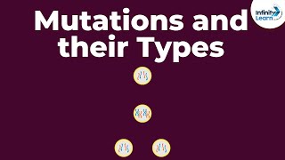 Genetics  Mutations and their Types  Lesson 20  Dont Memorise [upl. by Maghutte]