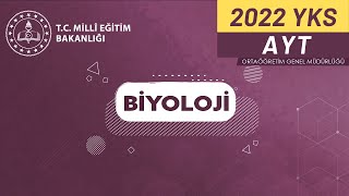 2022 Biyoloji AYT YKS Kampı Soru Çözüm11 Hücresel Solunum [upl. by Ama736]