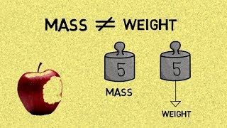 The Difference Between Mass amp Weight [upl. by Stacey]