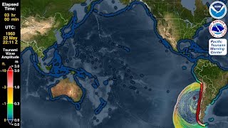 Tsunami Forecast Model Animation Chile 1960 [upl. by Anaiek]