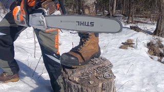 405 STIHL Chainsaw vs Work Boots Are Work Boots good enough for your chainsaw protection outdoors [upl. by Azriel]