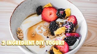 How To Make Your Own Yogurt With 2 Ingredients [upl. by Pooi247]