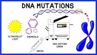 DNA Mutations [upl. by Ssegrub240]