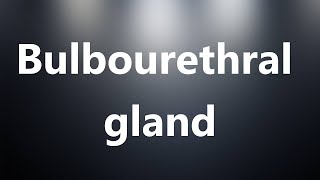 Bulbourethral gland  Medical Meaning [upl. by Mcfadden86]