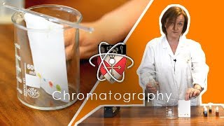 Chromatography  GCSE Science Required Practical [upl. by Ahsotal]